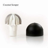 coconut scrapper for premier melanger